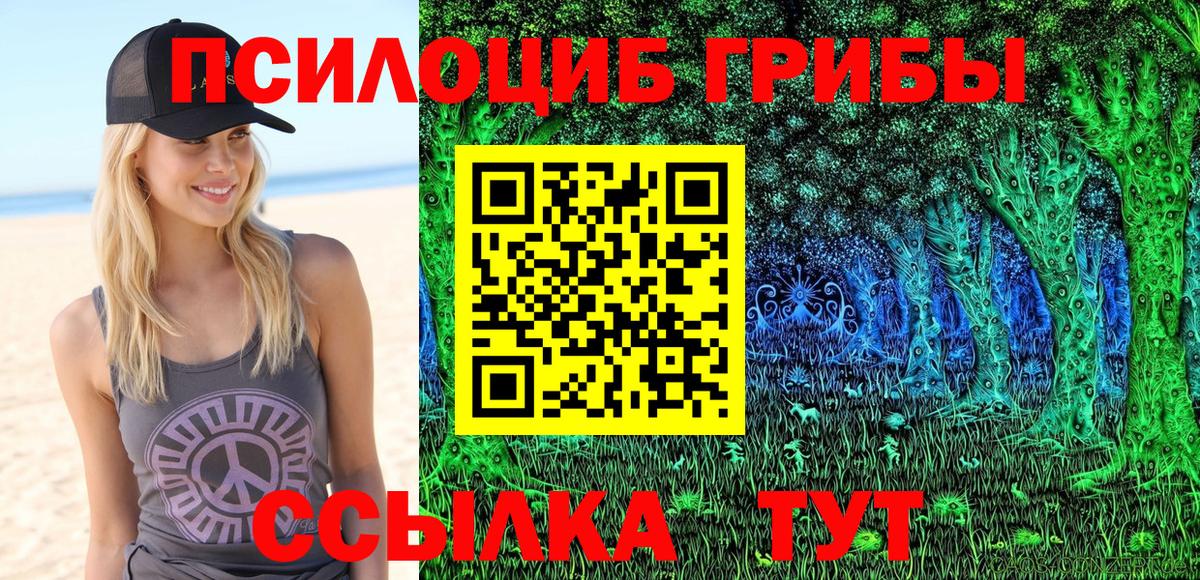Псилоцибиновые грибы мухоморы  Вход с VPN  Кировск 